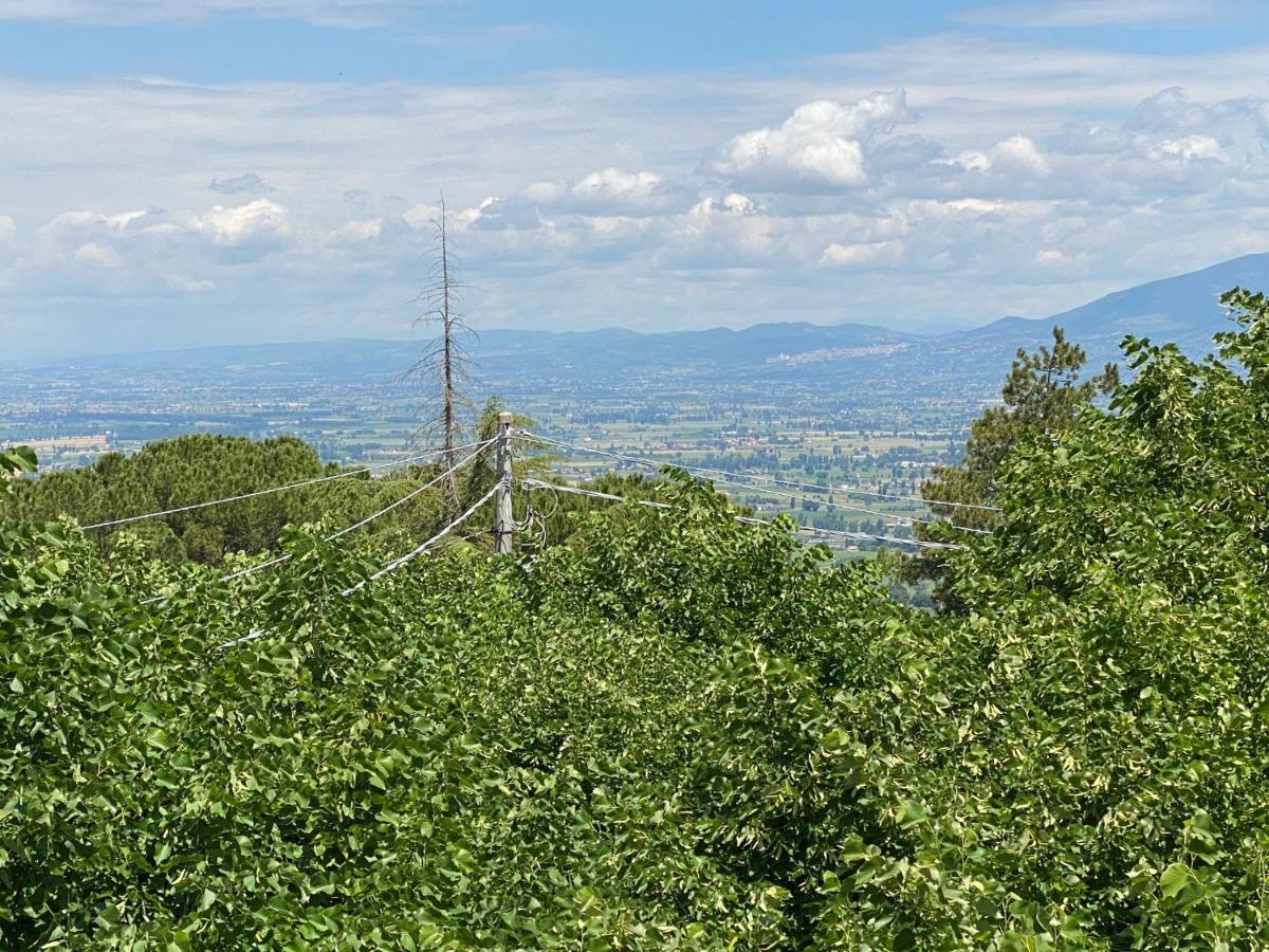 App. Con Terrazza Panoramica In Centro-Montefalco Bagian luar foto